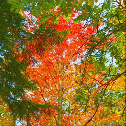 The reds and oranges of autumn foliage, adorning the trees like a crown of fire. Capture the majestic autumnal beauty of a forest decked out in its finest finery, as if ready to bow out.  This 6 x 6 inches photography is resin-coated and mounted on a wooden stand, ready to be installed in the room of your choice.