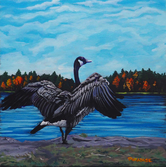 Canada goose spreading its wing, original painting by a professional canadian landscape artist. visual art ready to hang on your wall.