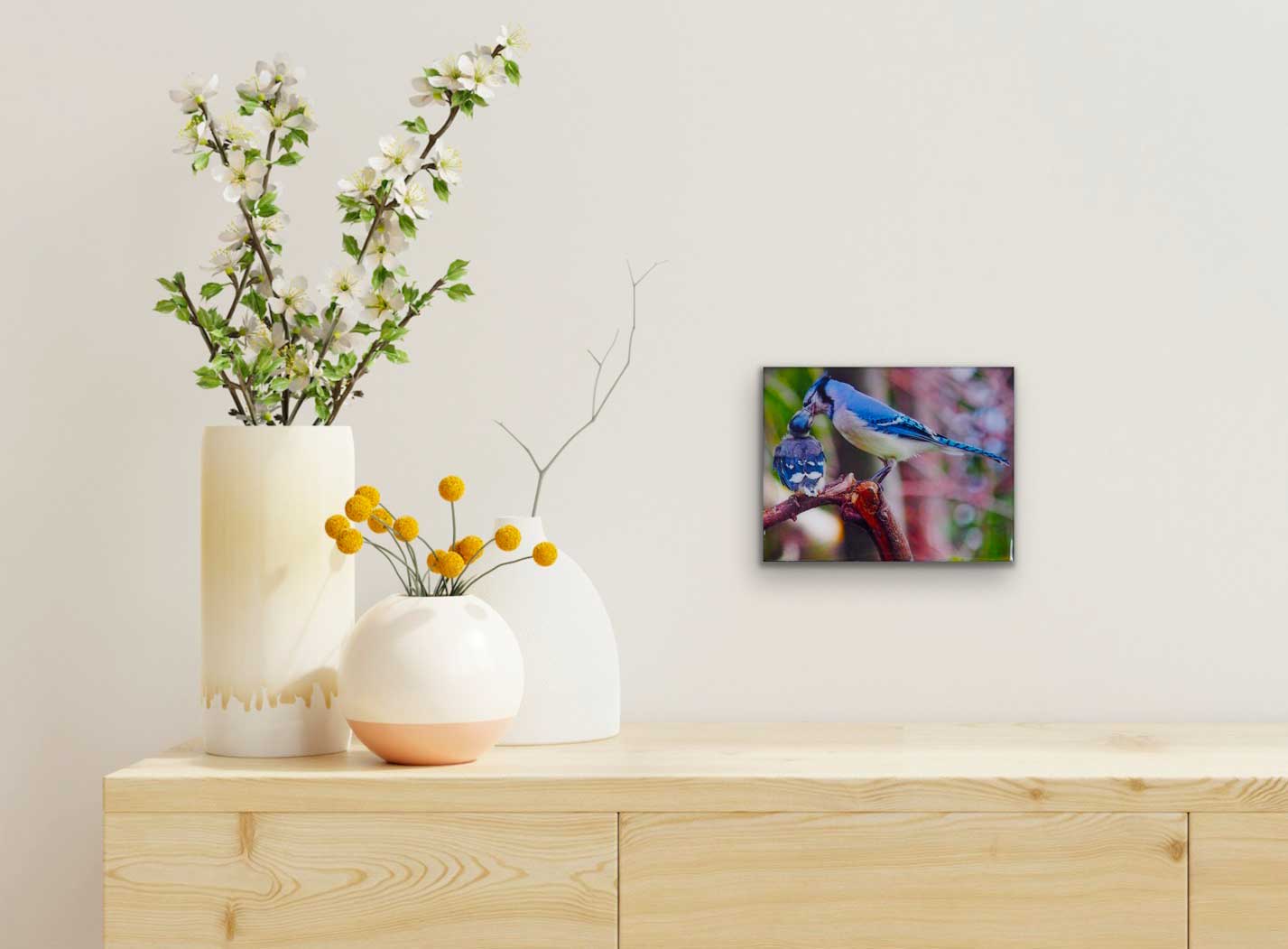 Young blue jay and its parent tenderly bringing it its meal. The photography is resin-coated for a glossy look and mounted on an 8 x 10 inches wood panel, ready to hang on your favorite wall.