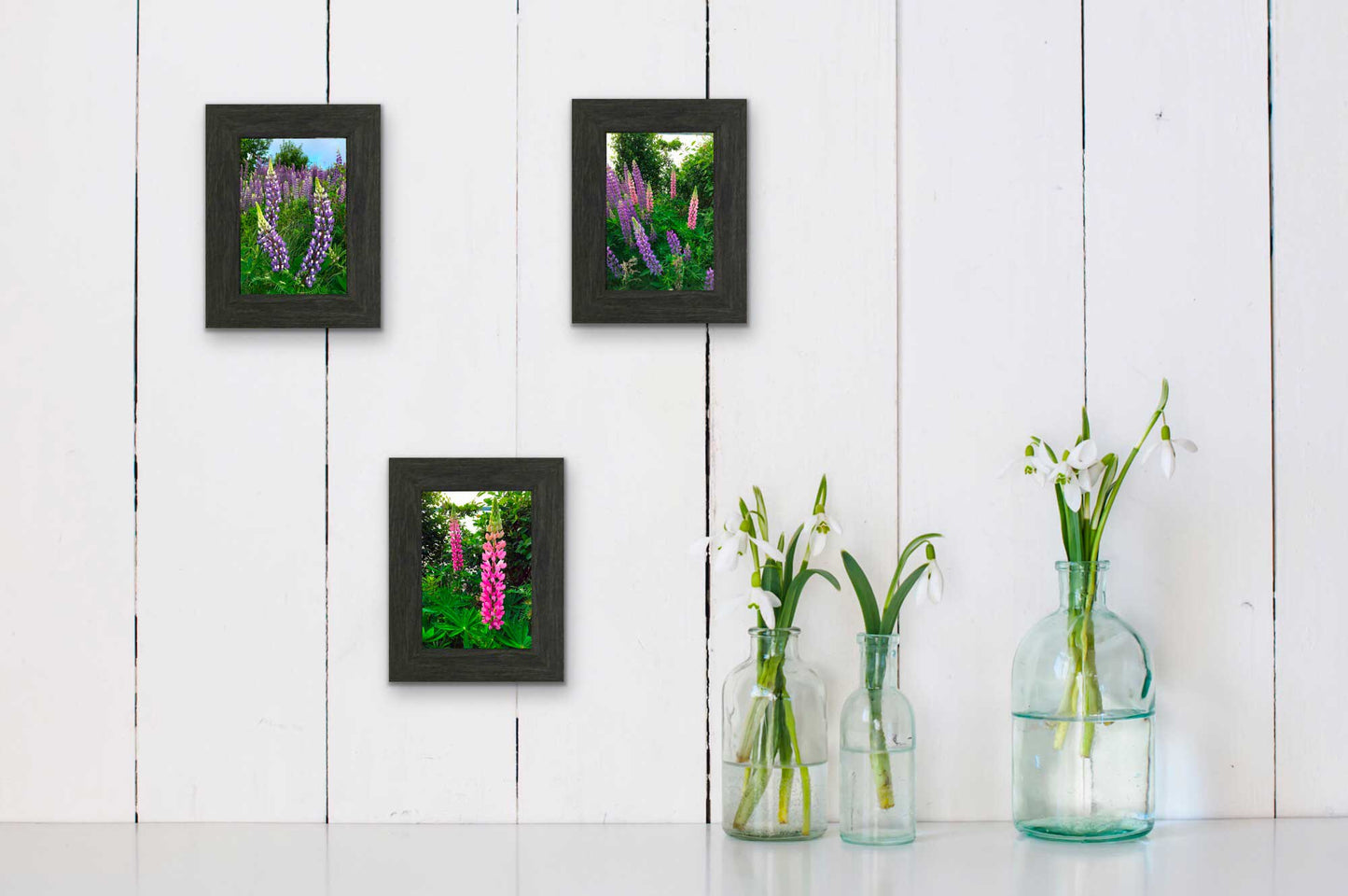 Lupins, The most beautiful pink and purple wildflowers  6.5 x 4.5 inches in a charcoal frame 9.25 x 7.25 inches with a glass. Ready to hang. 