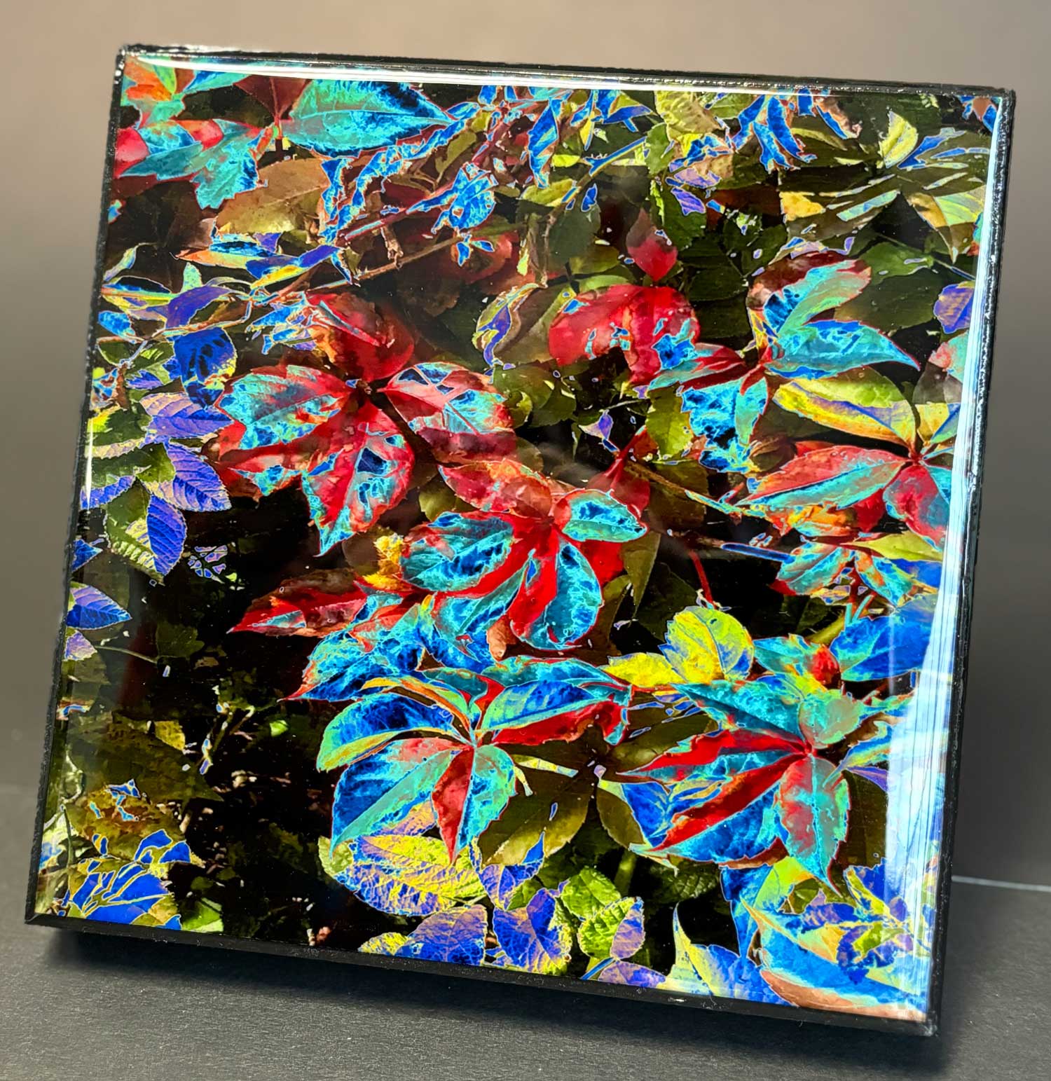 Pinaskin. Autumn leaves, A beautiful way to express vibrant hues of autumn's natural colors and embrace the nature.  Resin-coated 6 x 6-inches photography on a wooden stand.  Ready-to-hang in your home.