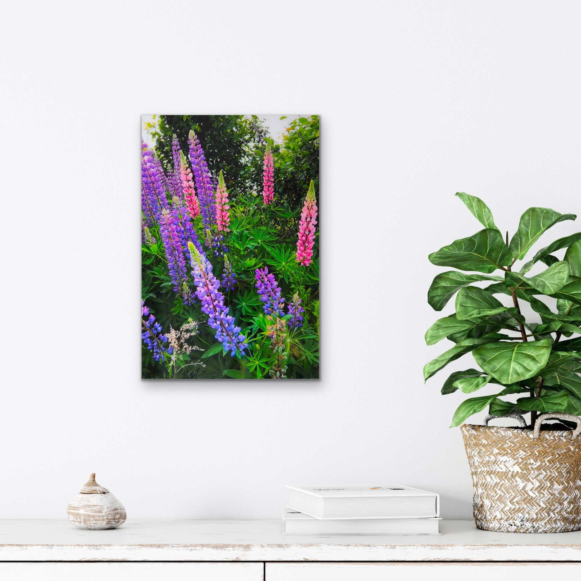 Lupins, The most beautiful pink and purple wildflowers  Resin-coated 17 x 11 inches photograph on a Masonite panel. Ready to hang.