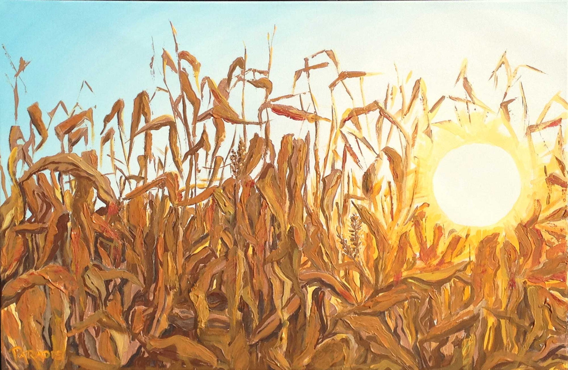 Dry autumn corn stalk field illuminated by the sunlight. high quality giclee print on canvas by a professional canadian urban landscape artist. visual art ready to hang on your wall.