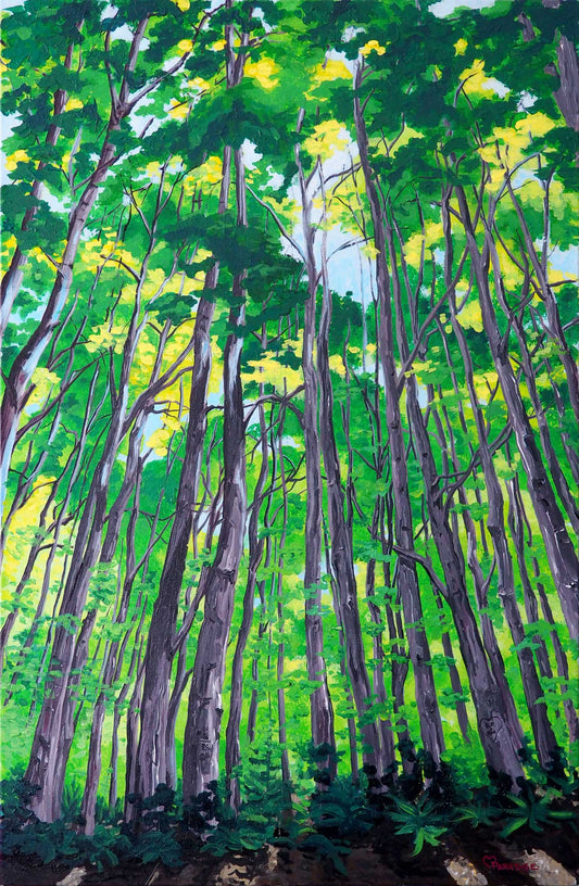 profusion of green hues of the trees and the beauty of the forest floor, where the dense canopy of foliage creates a setting almost impervious to direct sunlight. . Original painting by a professional Canadian landscape artist. visual art ready to hang on your wall.