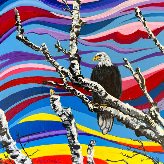 This sea eagle, perched up in the birch tree, is scanning the horizon making sure that everything is in order in his domain, as hues of red, orange, and blue paint the background. 6x6 inches Original modern painting by a professional Canadian landscape artist. visual art ready to hang on your wall.