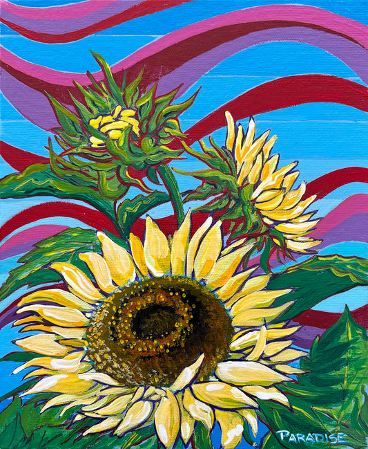 Sunflower 1